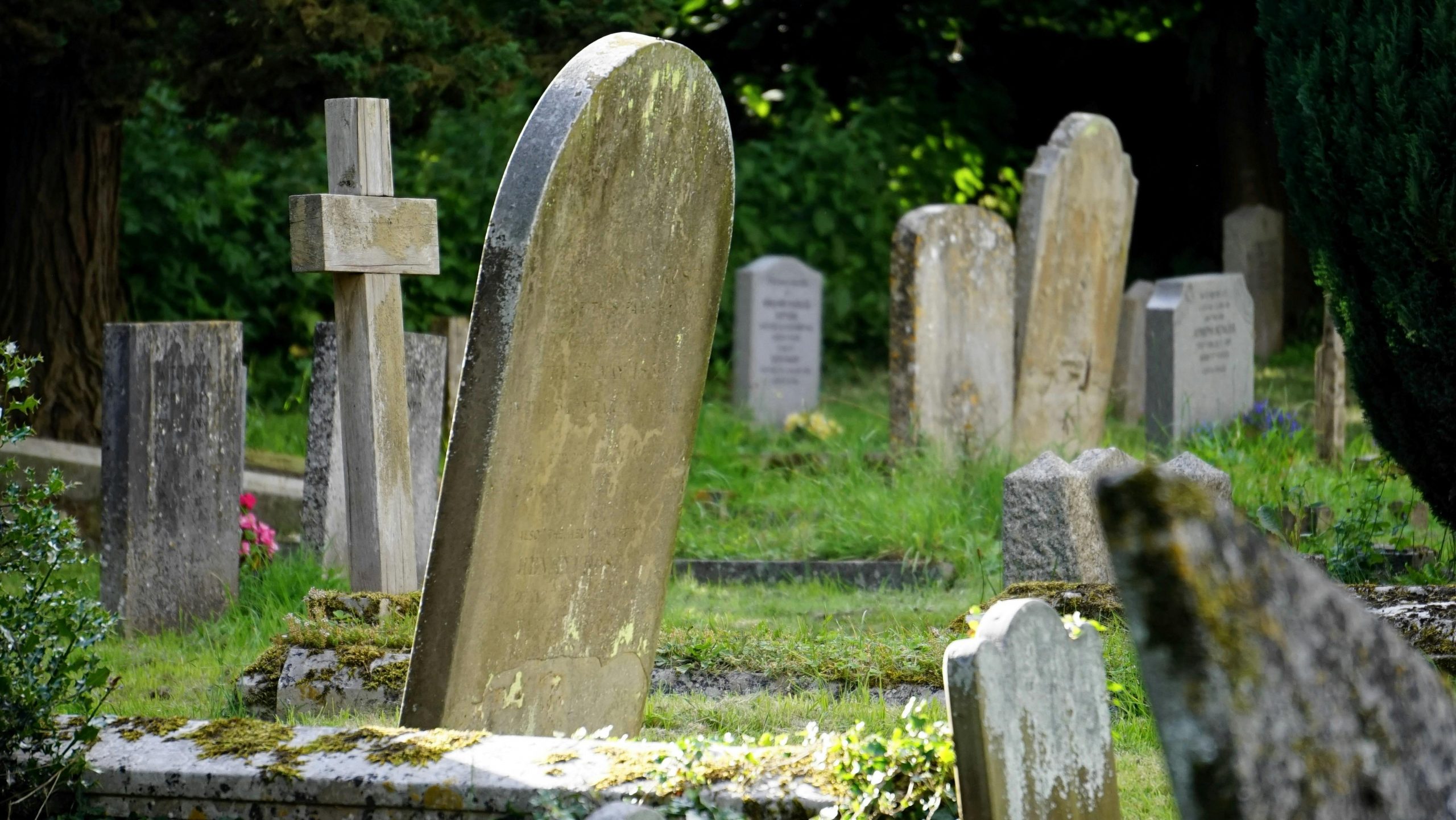 eco friendly burial spot