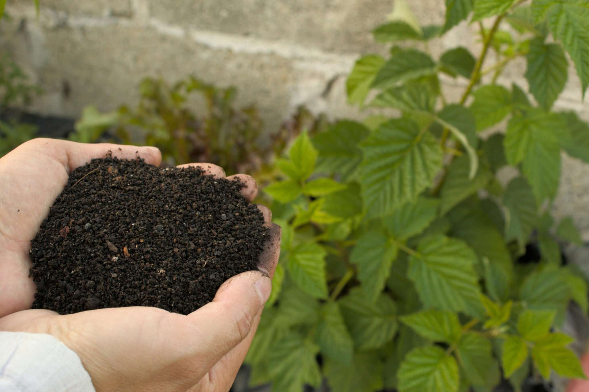 example of living a green lifestyle